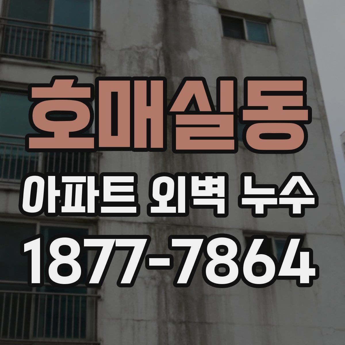 호매실동 아파트 외벽 누수 원인 진단이 먼저인 이유