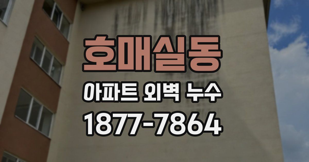 호매실동 아파트 외벽 누수