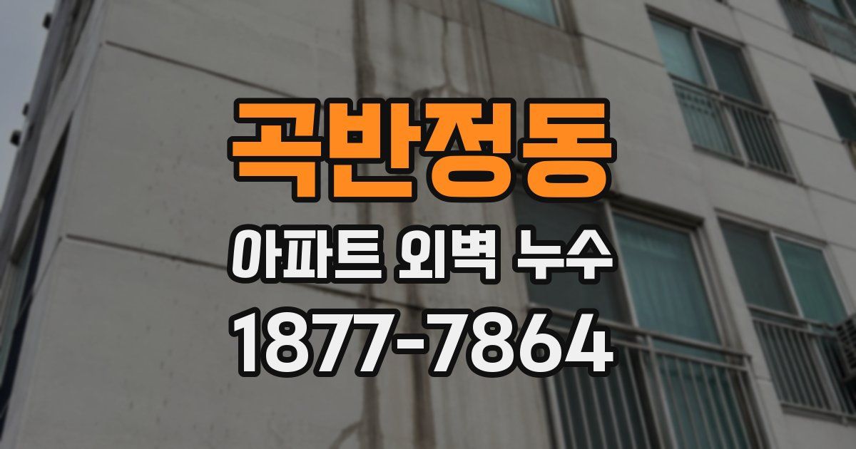 곡반정동 아파트 외벽 누수