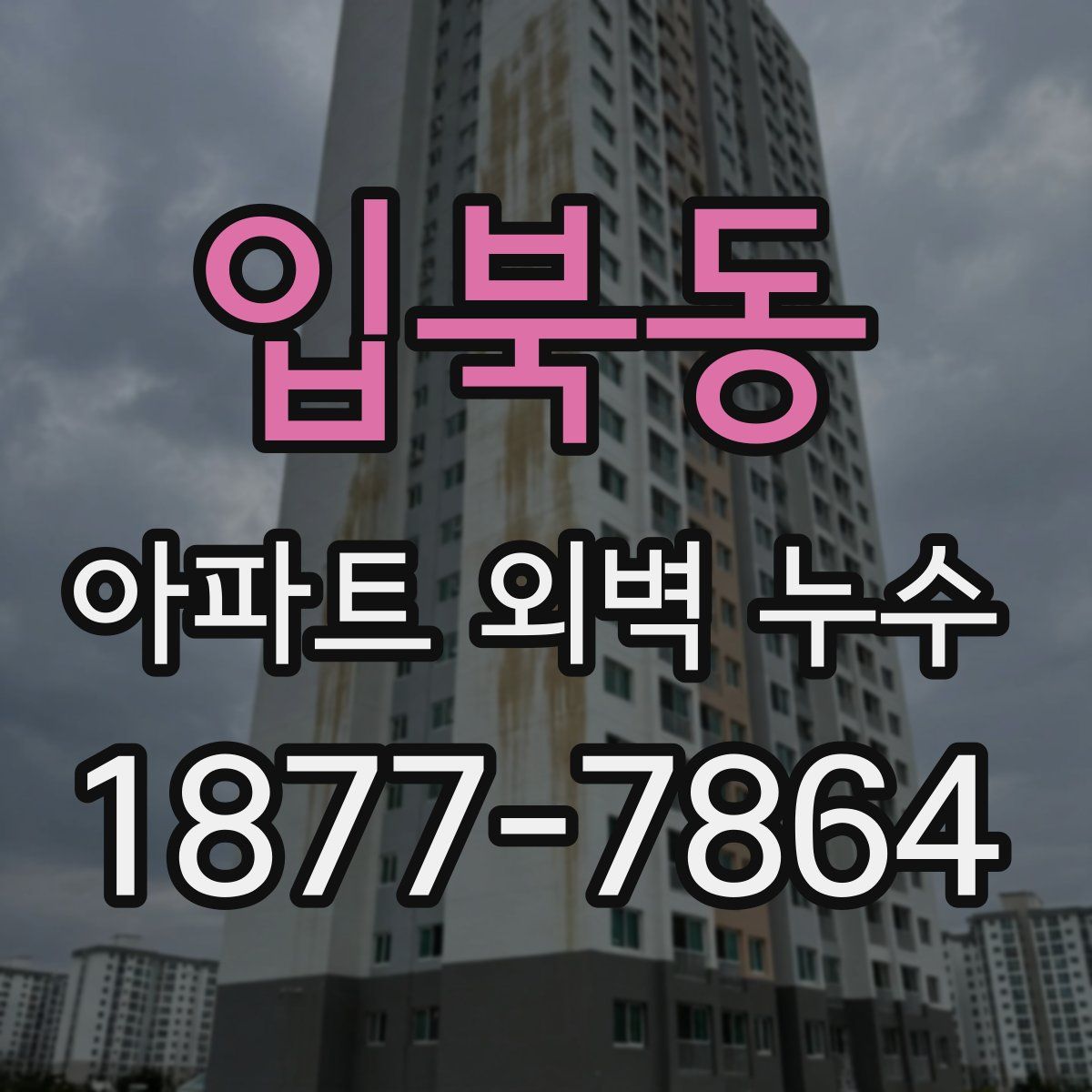 입북동 아파트 외벽 누수