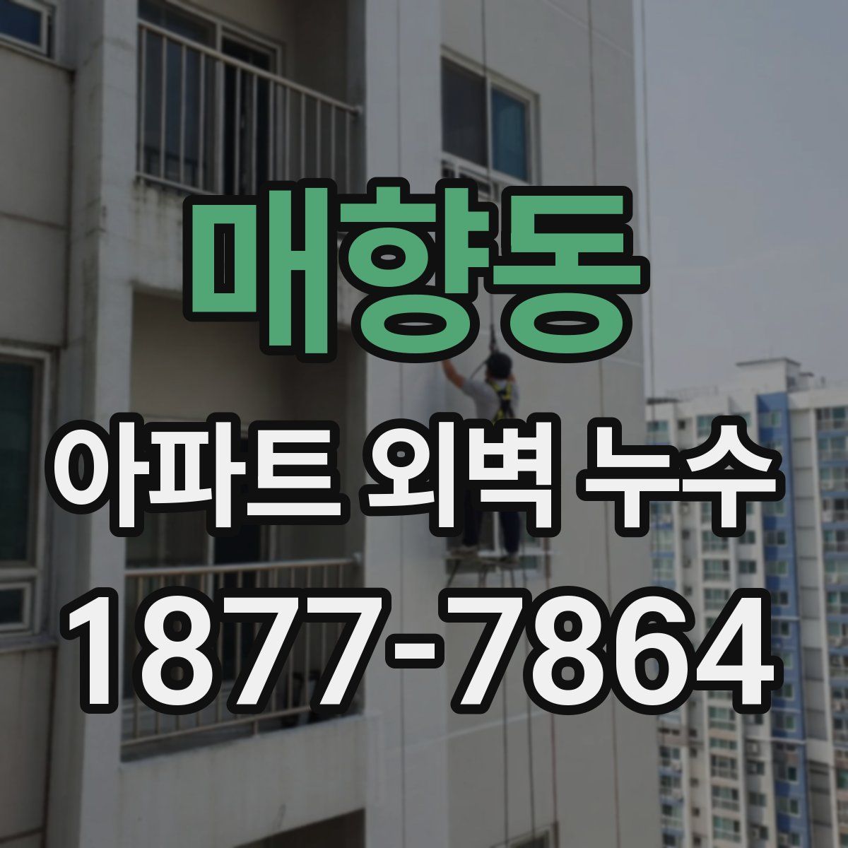 매향동 아파트 외벽 누수