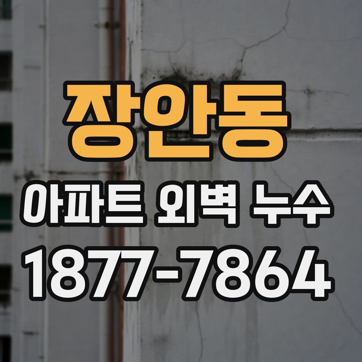 장안동 아파트 외벽 누수