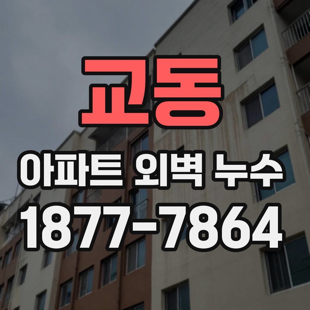 교동 아파트 외벽 누수