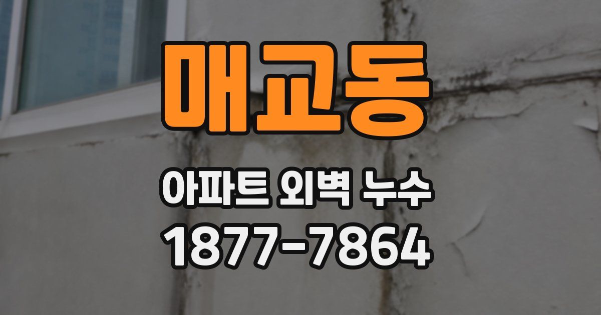 매교동 아파트 외벽 누수