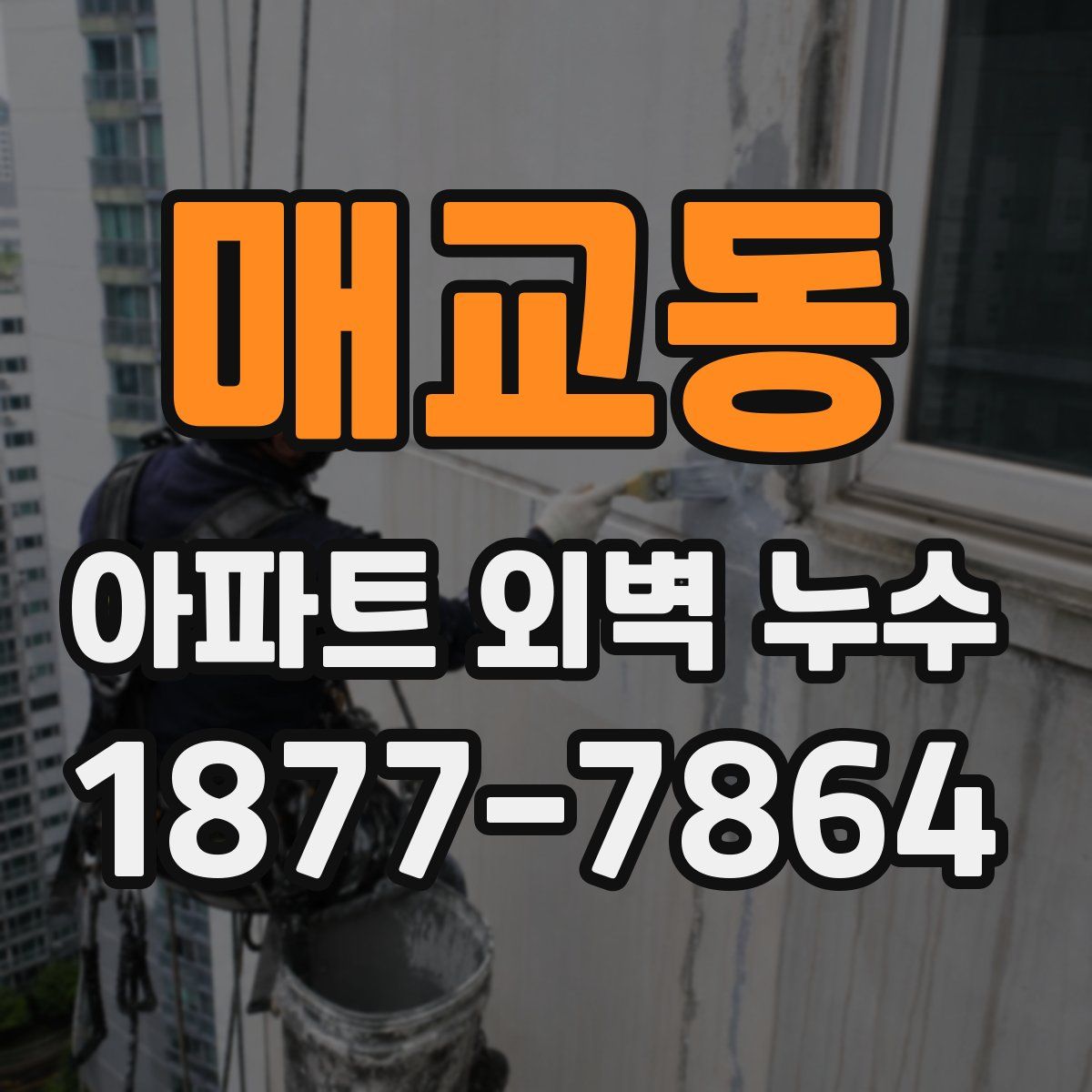 매교동 아파트 외벽 누수