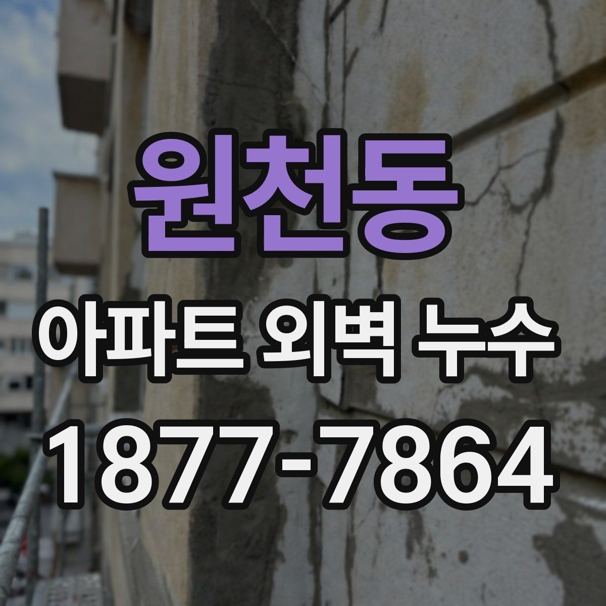 원천동 아파트 외벽 누수 점검 결과를 이해하는 법