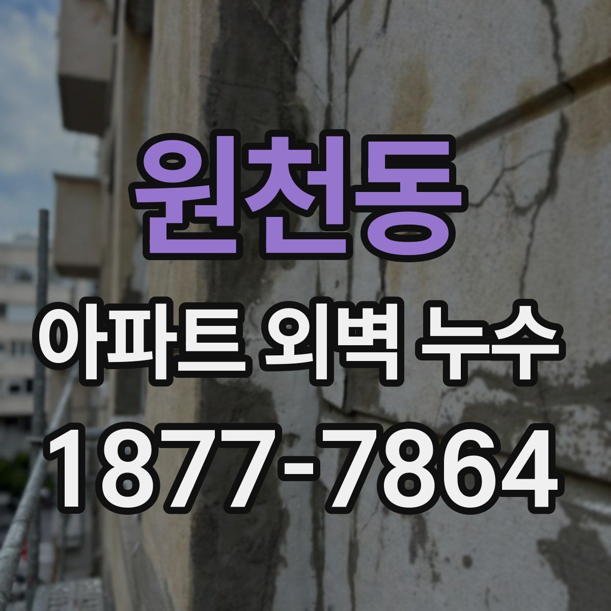 원천동 아파트 외벽 누수