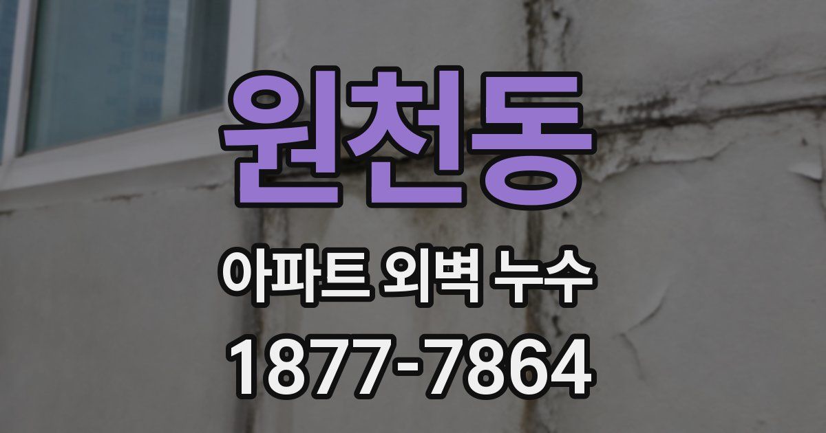 원천동 아파트 외벽 누수