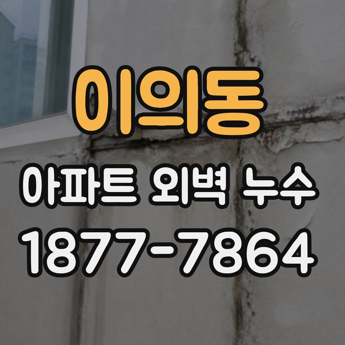 이의동 아파트 외벽 누수