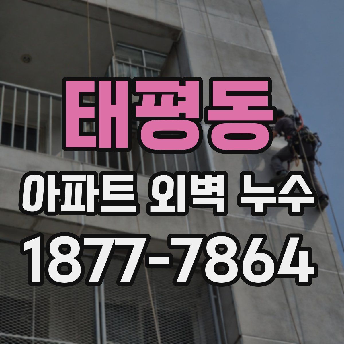 태평동 아파트 외벽 누수