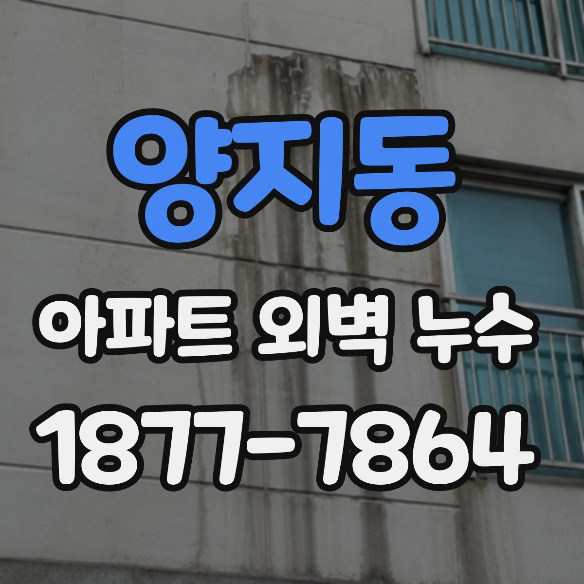 양지동 아파트 외벽 누수