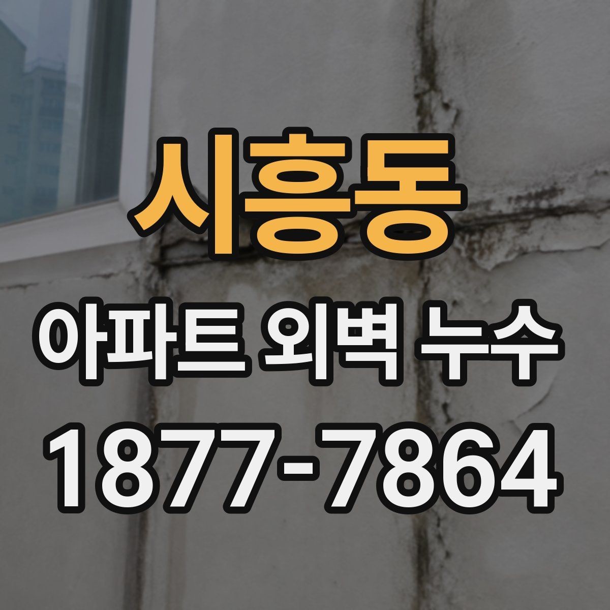 시흥동 아파트 외벽 누수 주변 마감재 손상까지 살피기