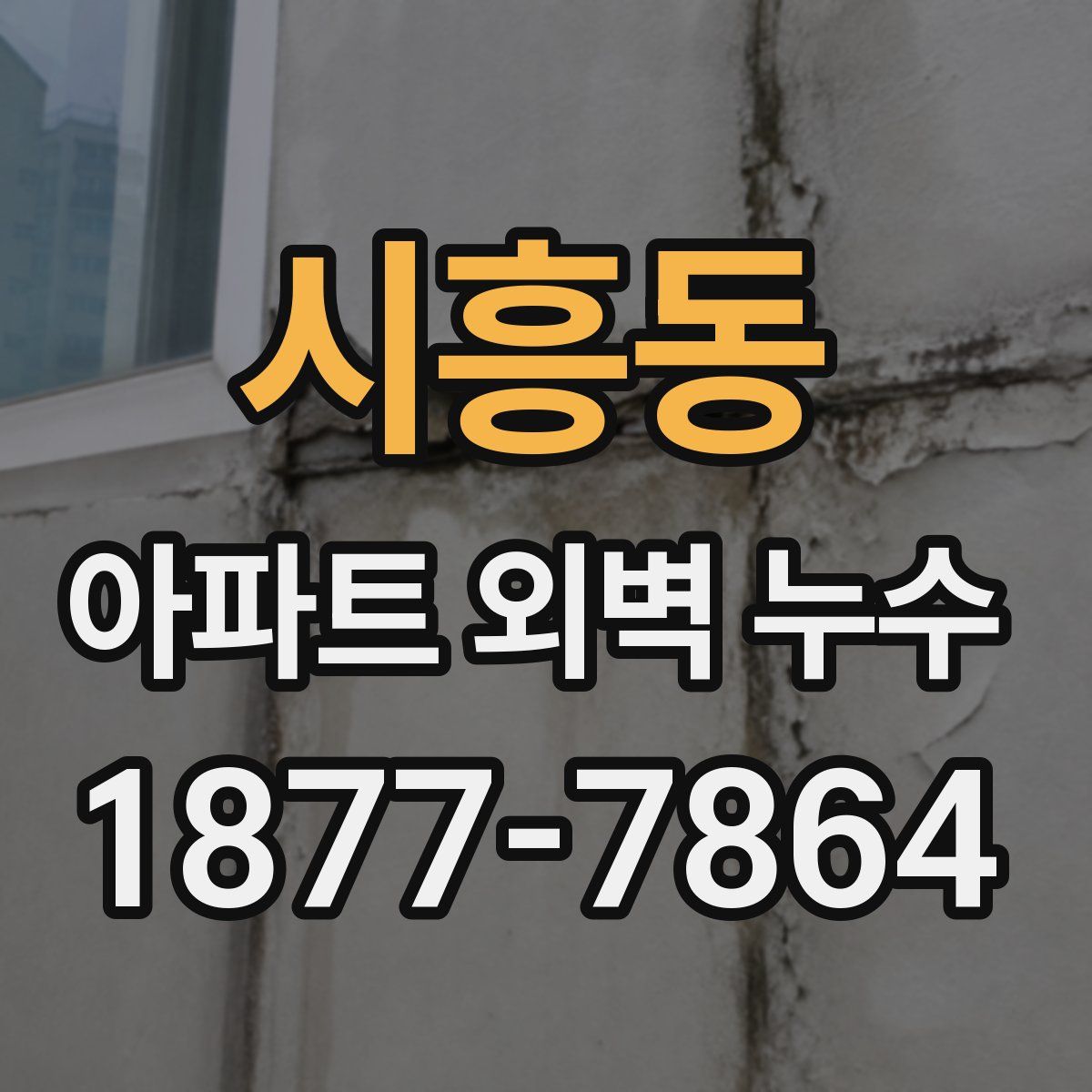 시흥동 아파트 외벽 누수
