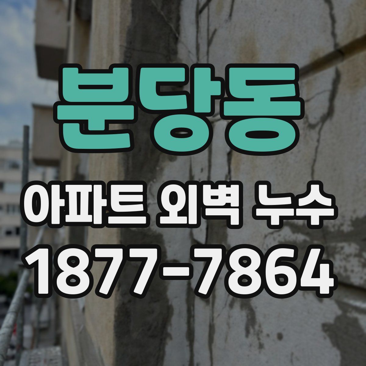 분당동 아파트 외벽 누수