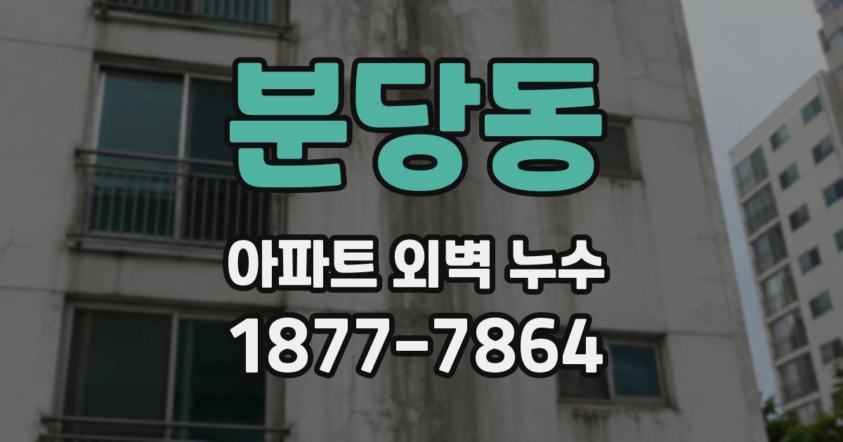 분당동 아파트 외벽 누수