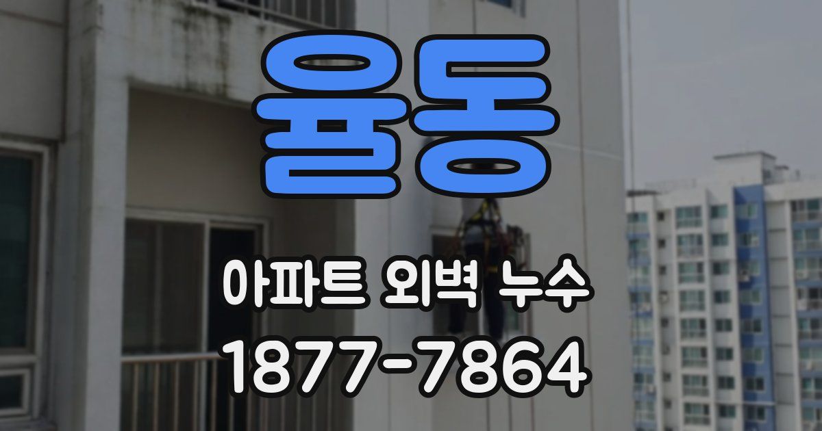 율동 아파트 외벽 누수