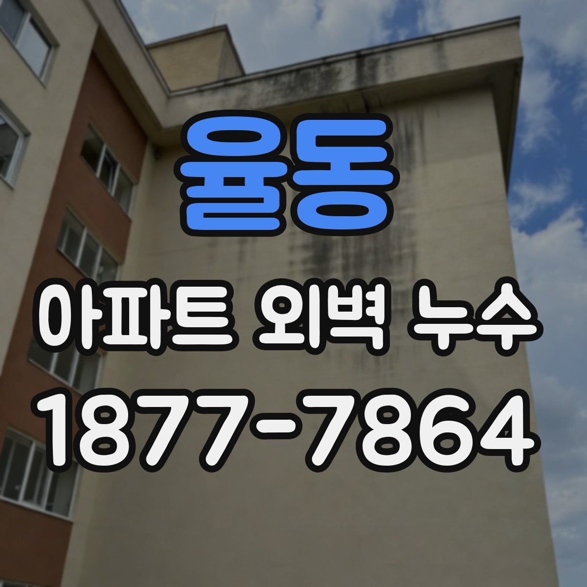 율동 아파트 외벽 누수