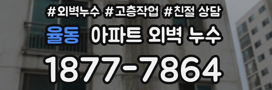 율동 아파트 외벽 누수