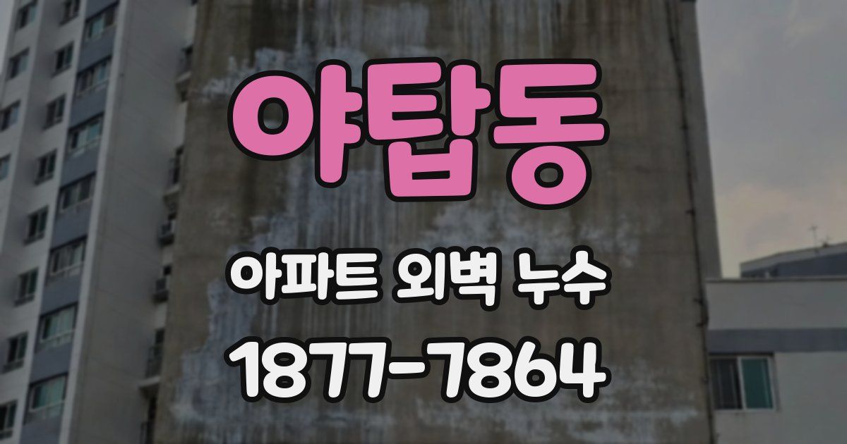 야탑동 아파트 외벽 누수