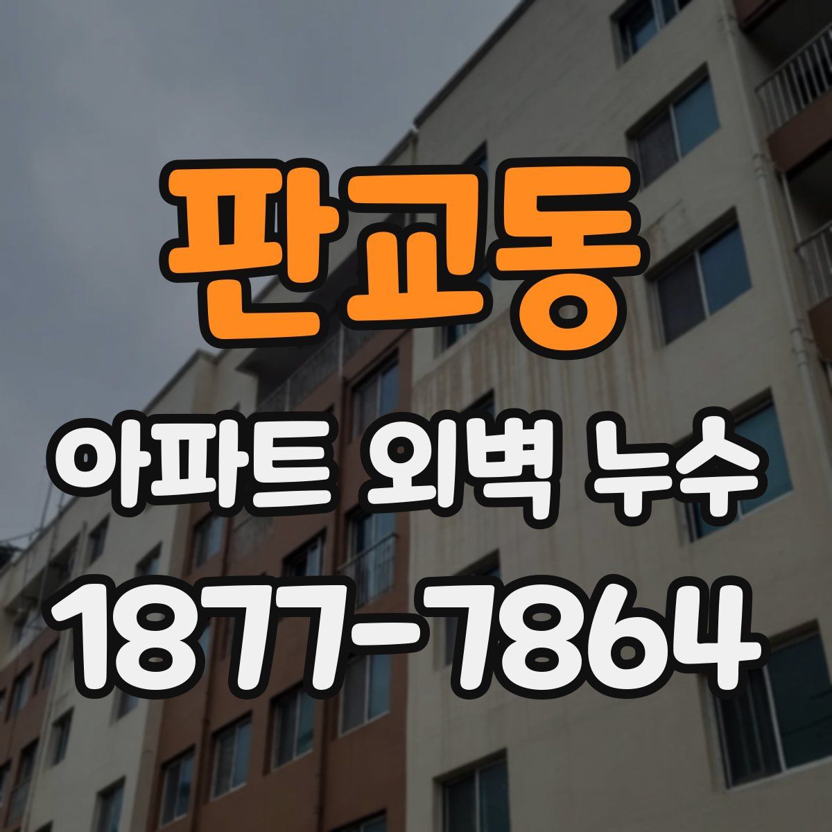 판교동 아파트 외벽 누수