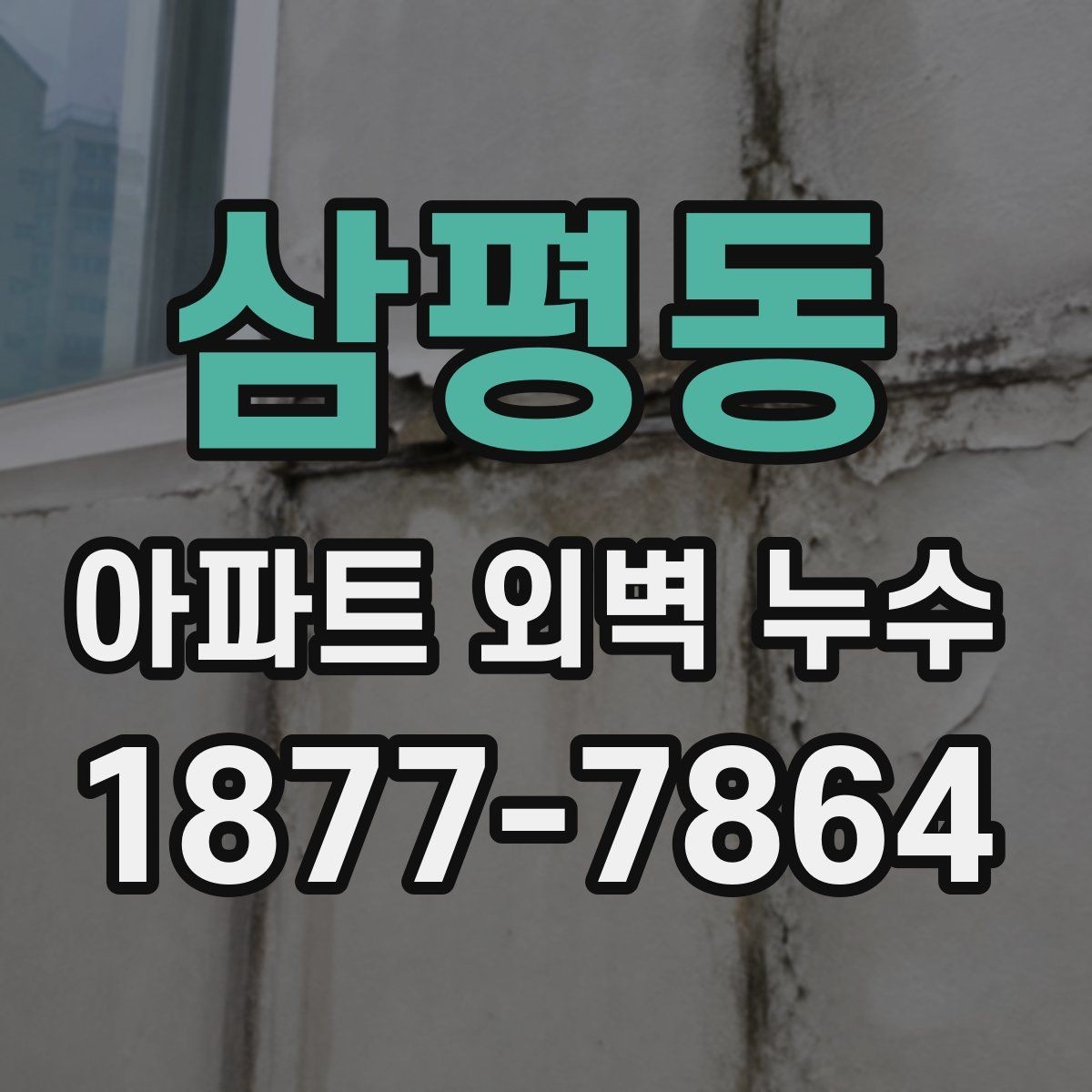 삼평동 아파트 외벽 누수 보수 견적 받을 때 비교 기준