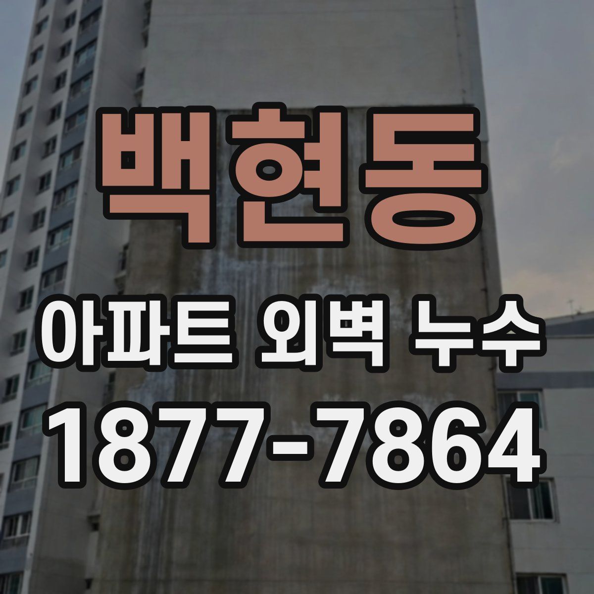 백현동 아파트 외벽 누수