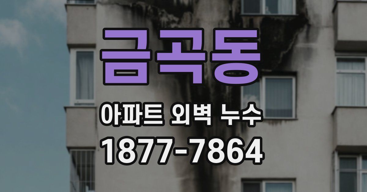 금곡동 아파트 외벽 누수