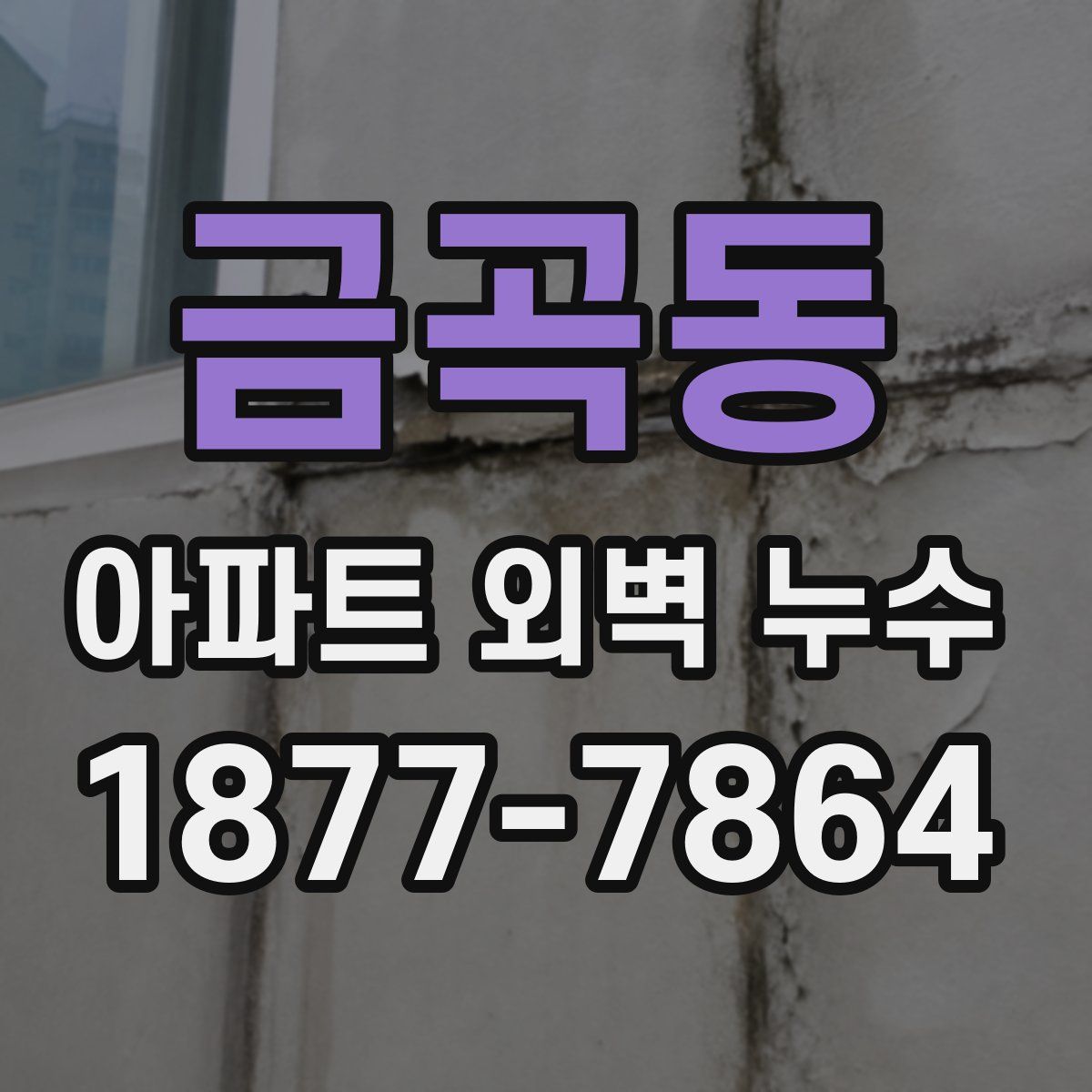 금곡동 아파트 외벽 누수