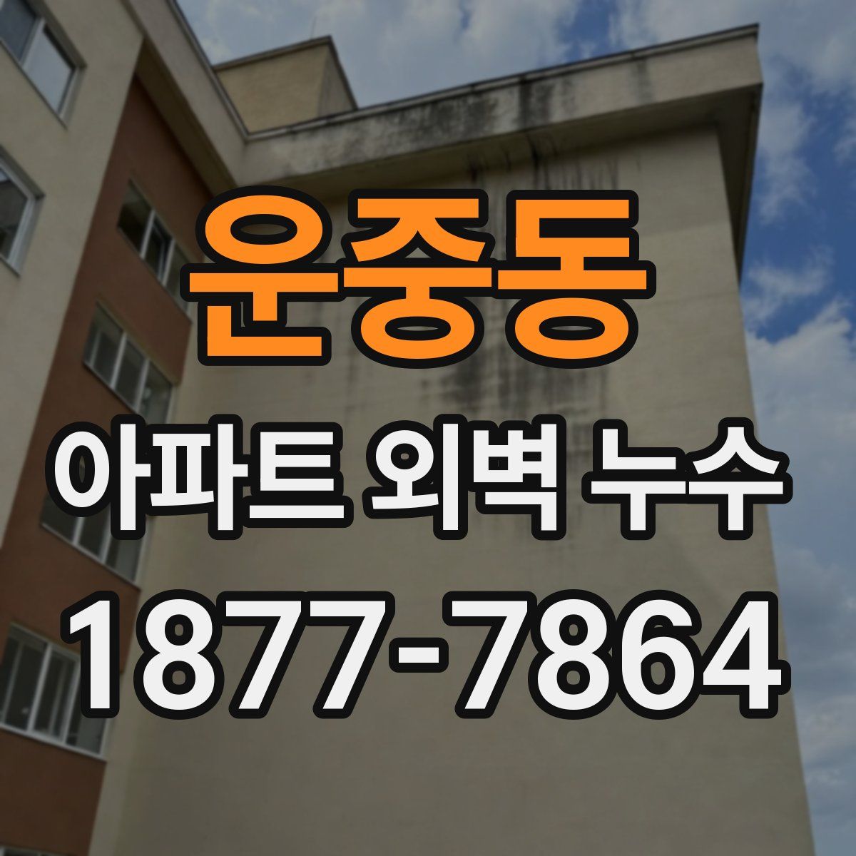 운중동 아파트 외벽 누수