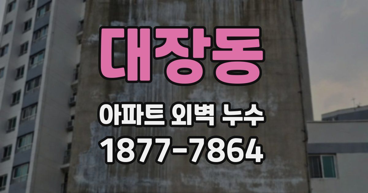 대장동 아파트 외벽 누수