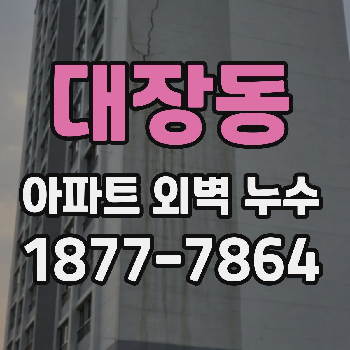 대장동 아파트 외벽 누수