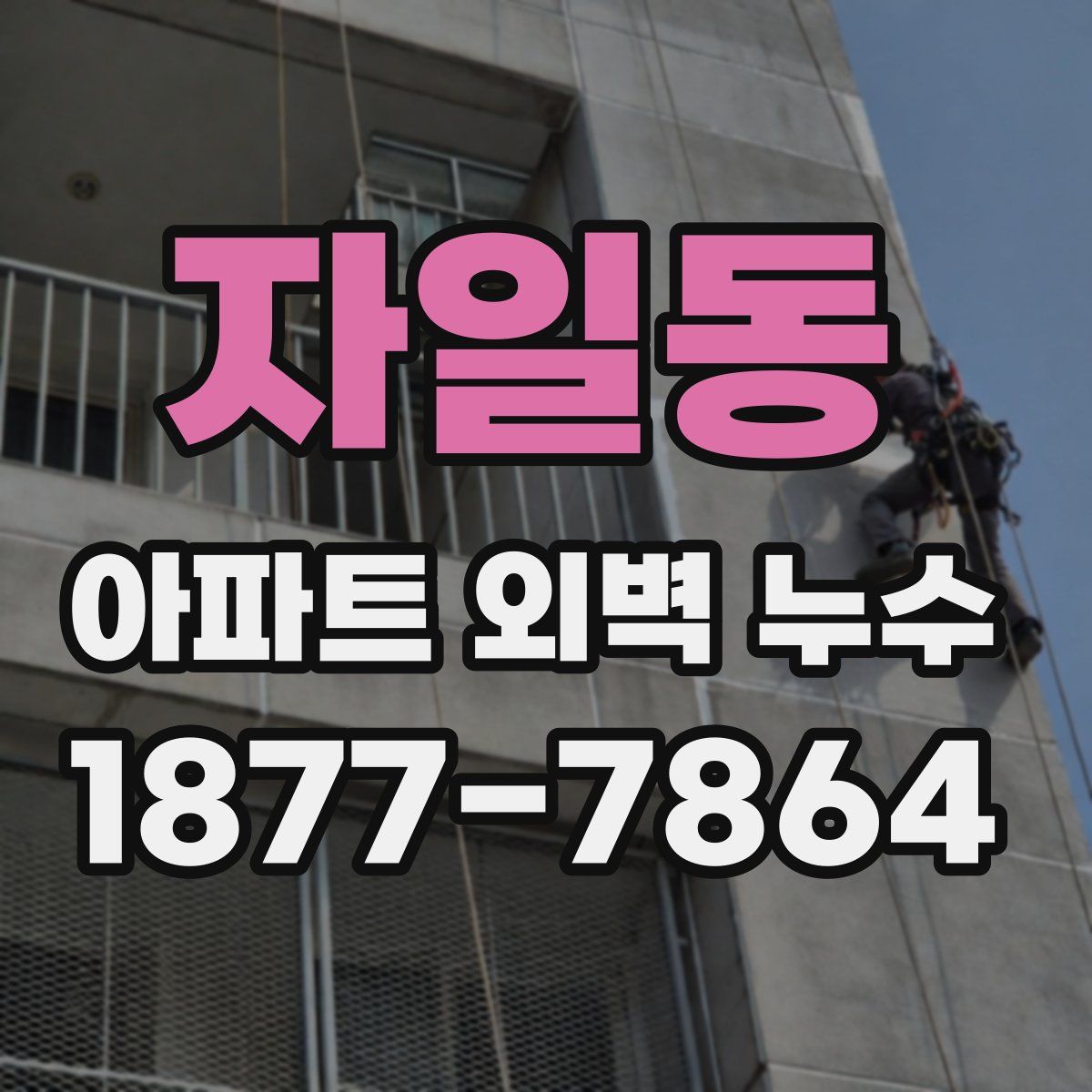 자일동 아파트 외벽 누수