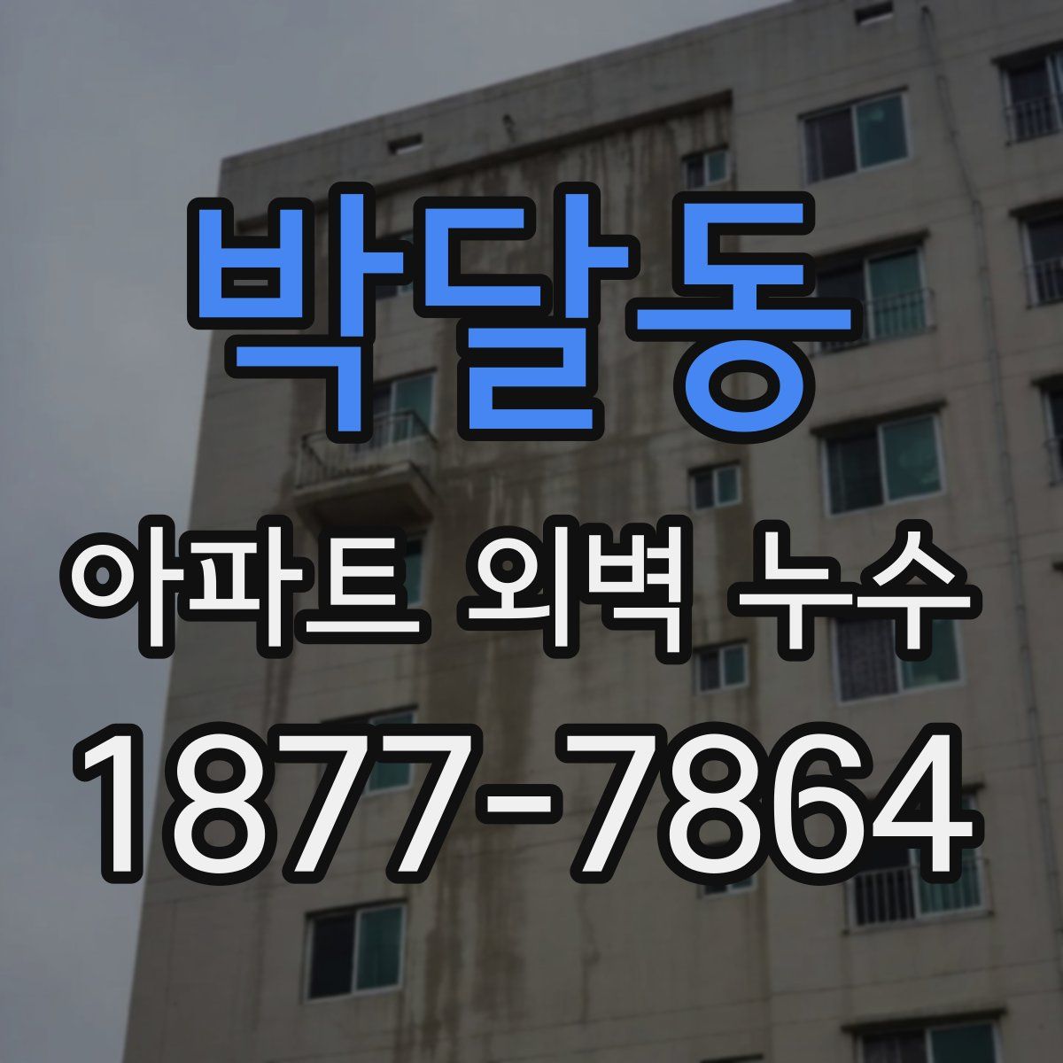 박달동 아파트 외벽 누수