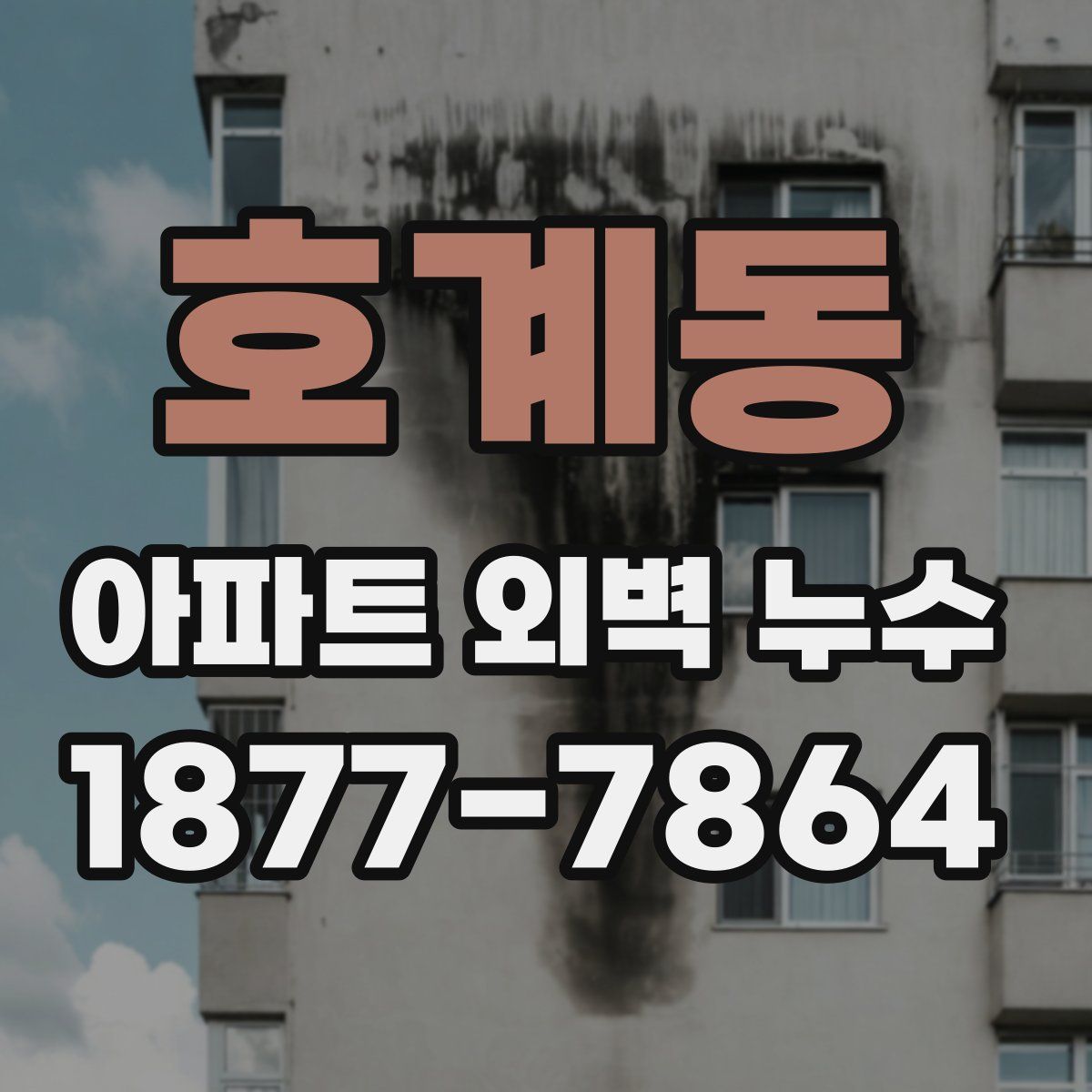 호계동 아파트 외벽 누수
