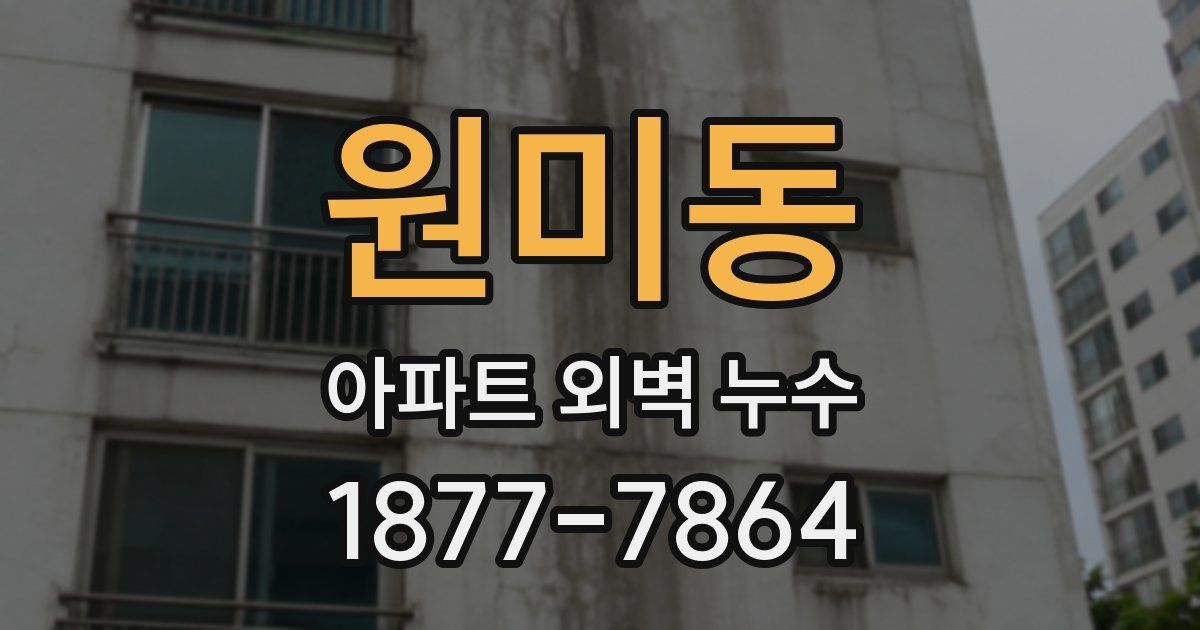 원미동 아파트 외벽 누수