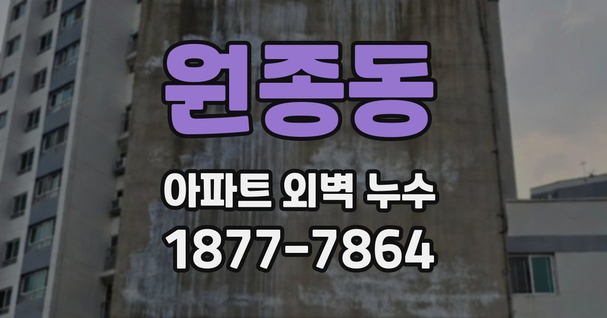 원종동 아파트 외벽 누수