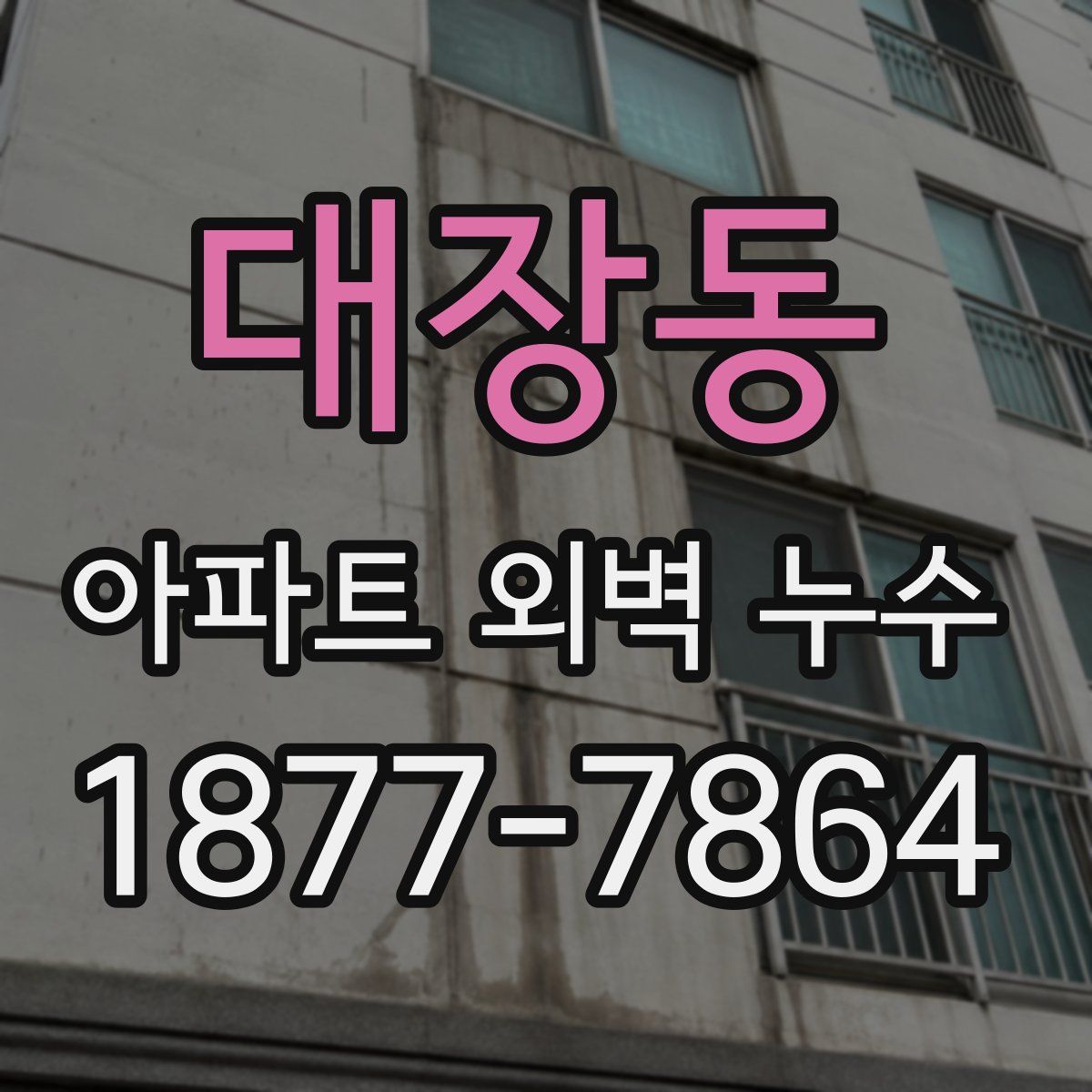 대장동 아파트 외벽 누수