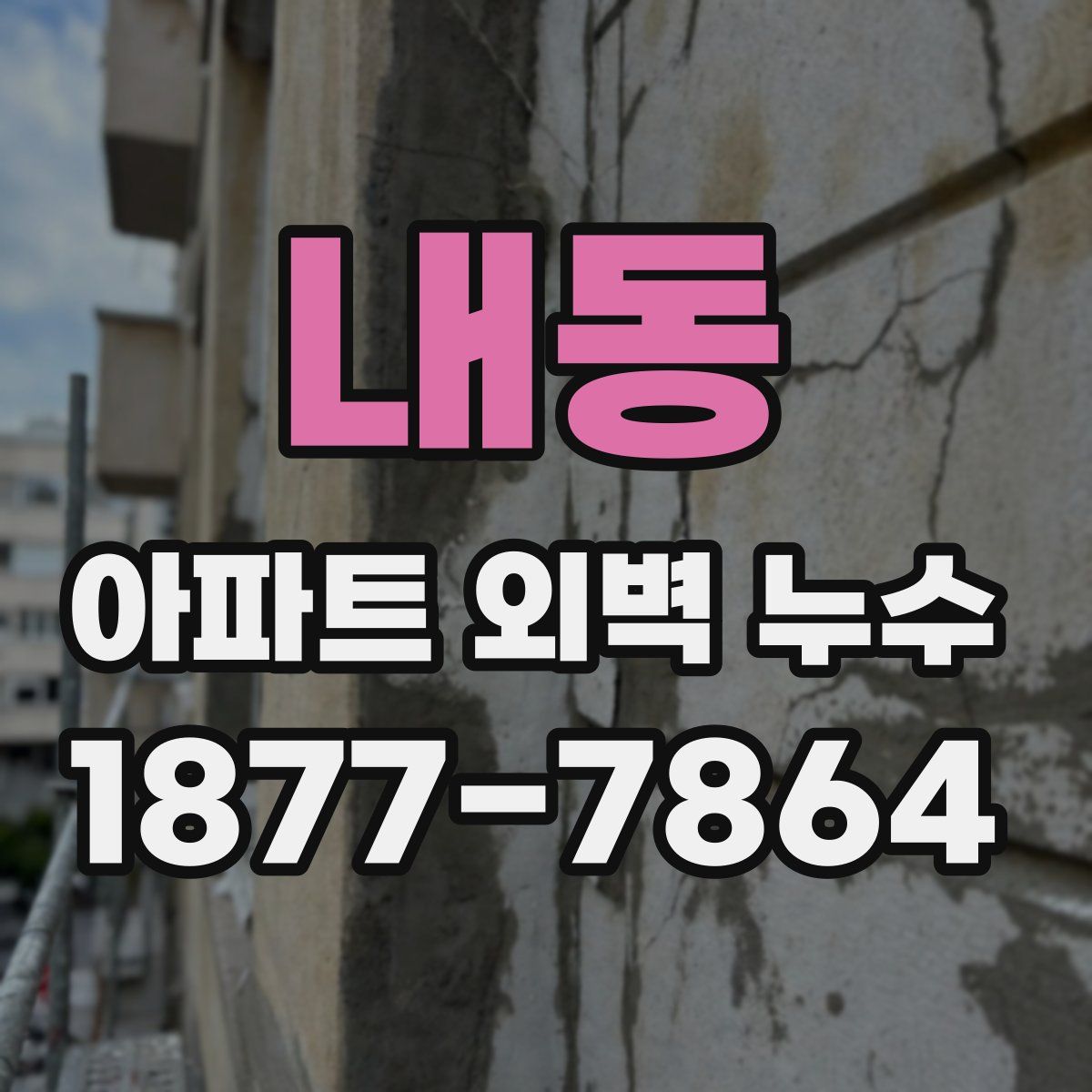내동 아파트 외벽 누수