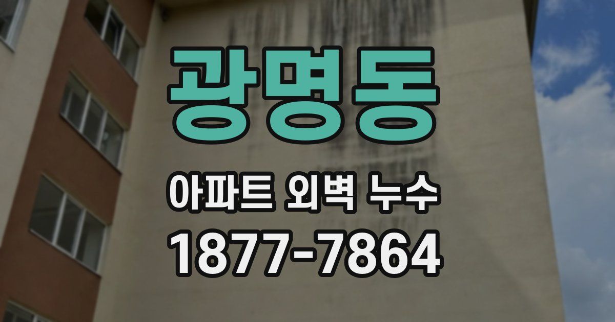 광명동 아파트 외벽 누수