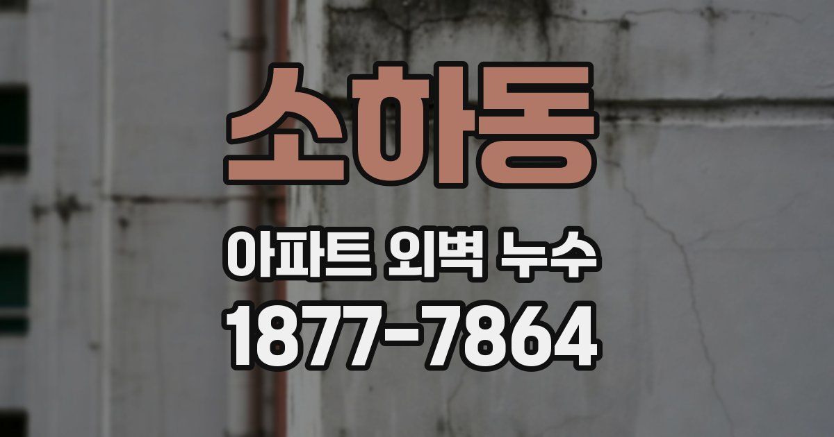소하동 아파트 외벽 누수