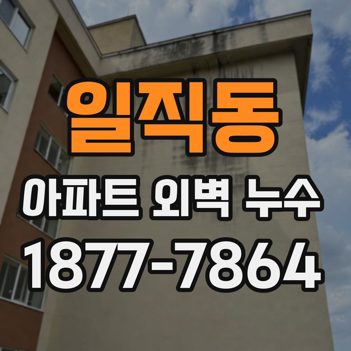 일직동 아파트 외벽 누수