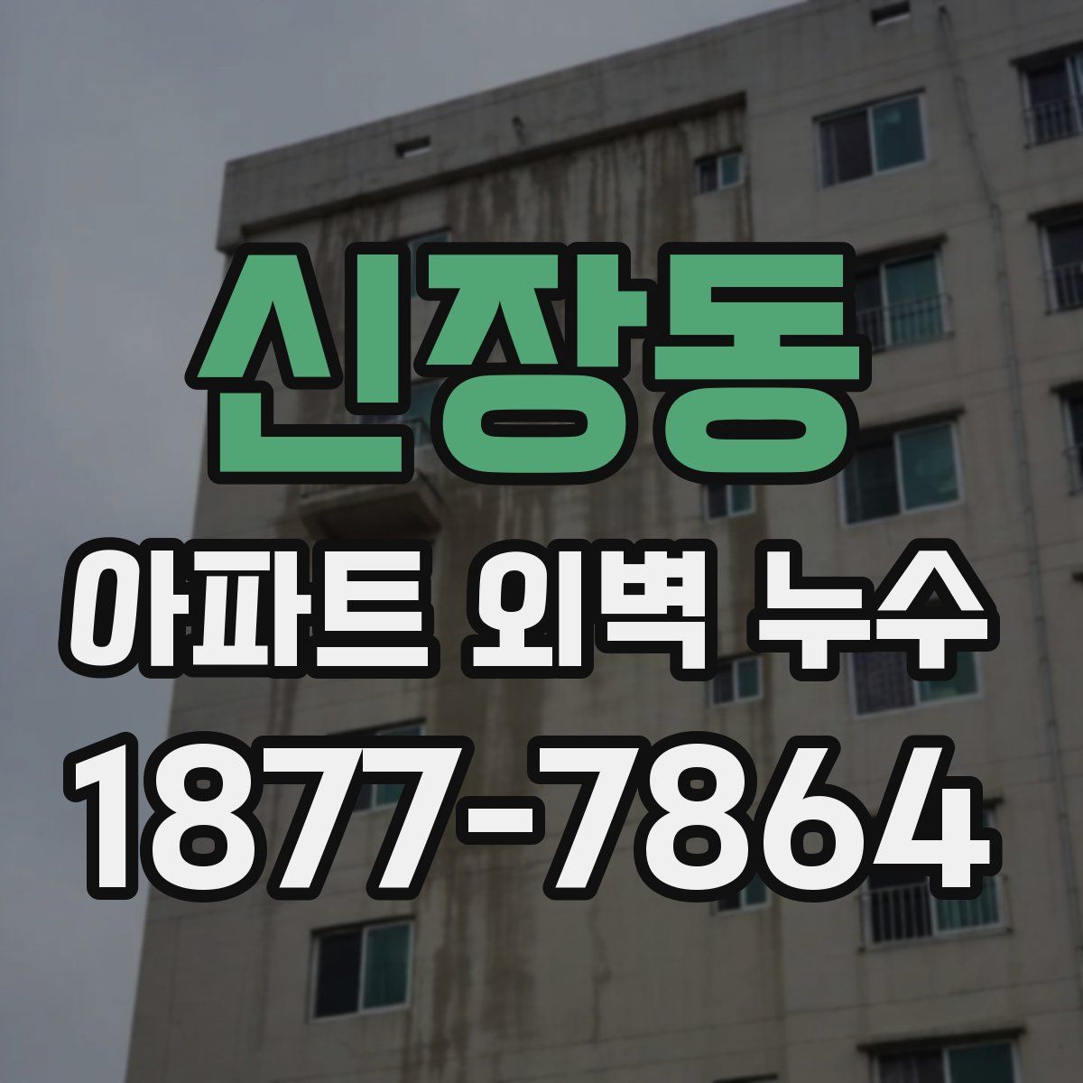 신장동 아파트 외벽 누수