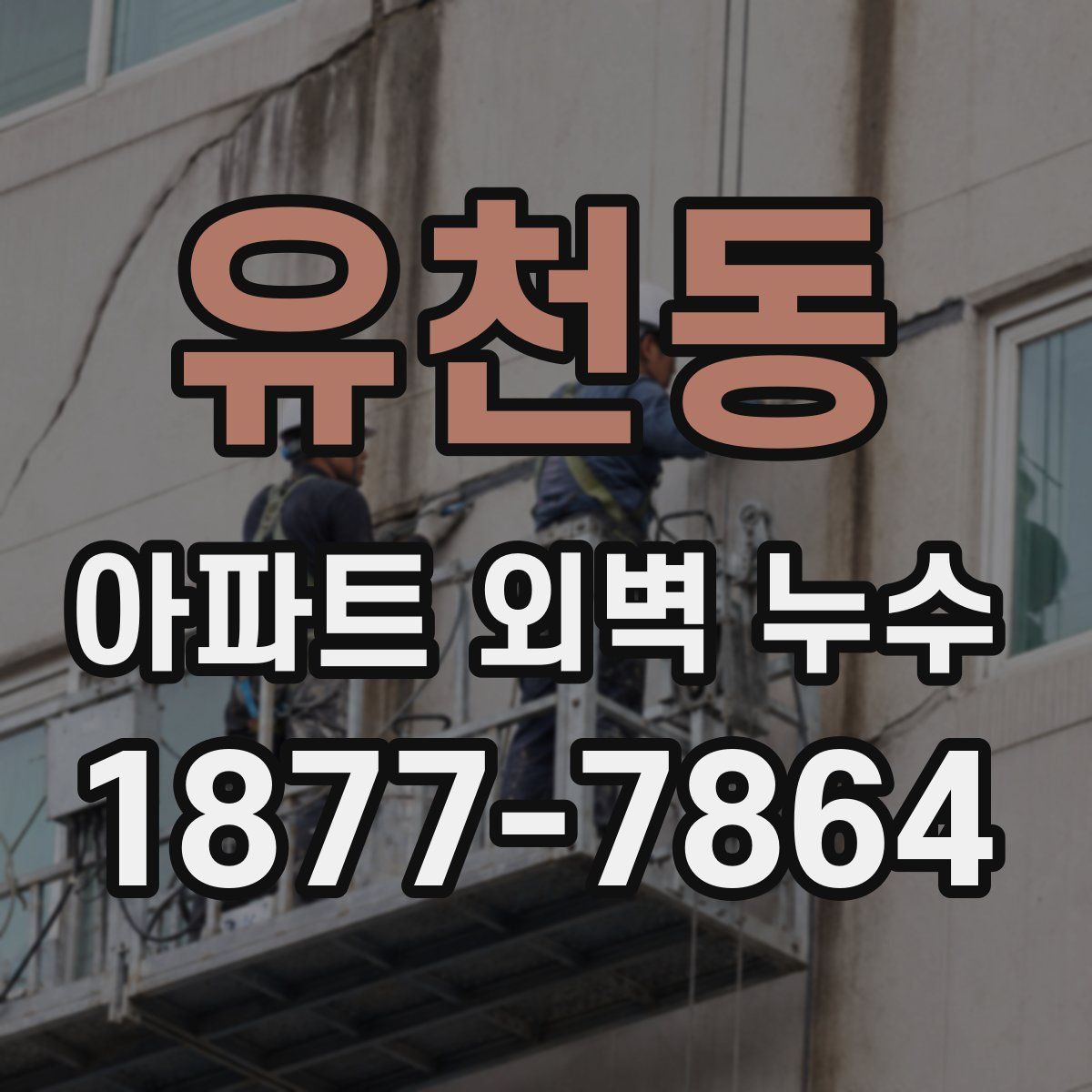 유천동 아파트 외벽 누수