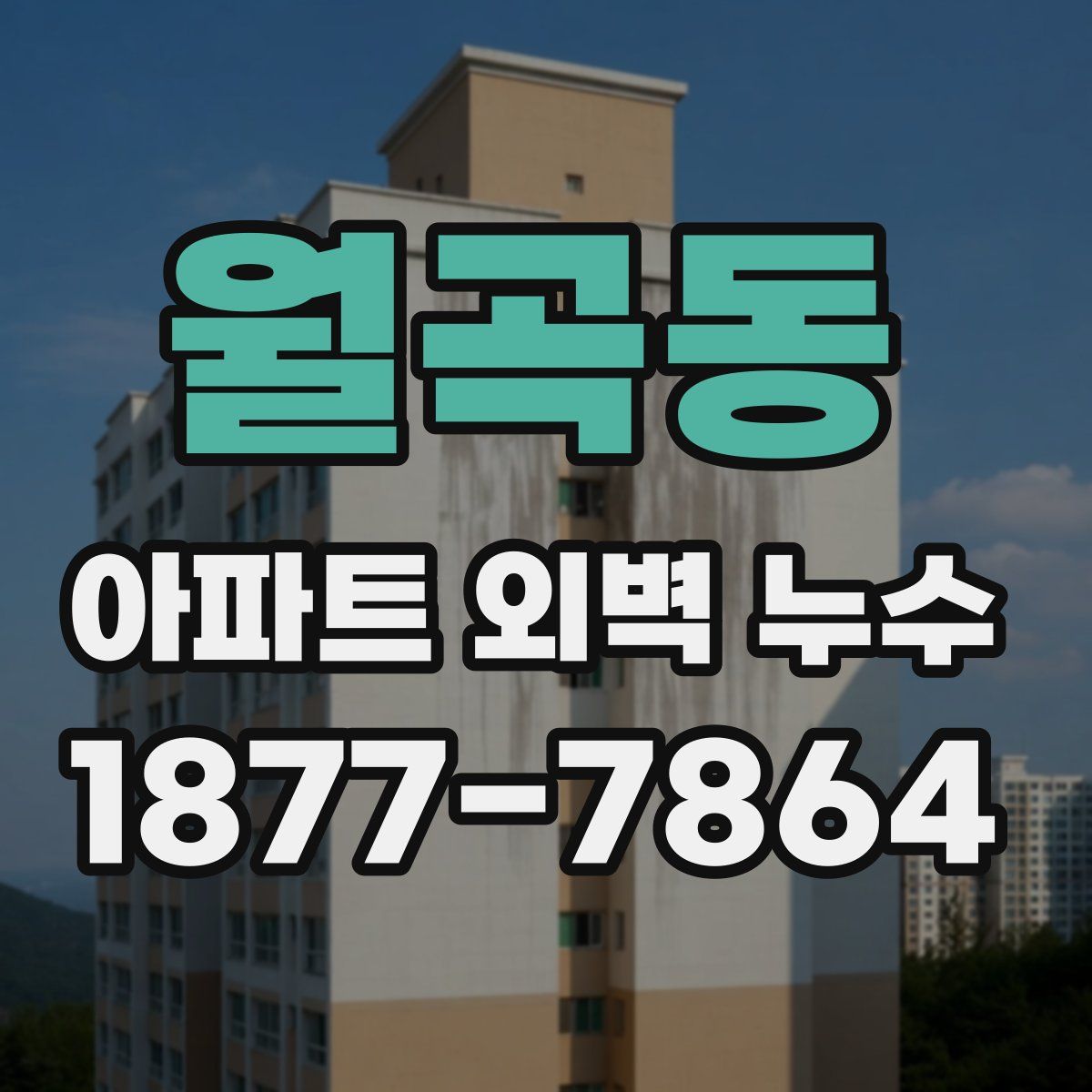월곡동 아파트 외벽 누수