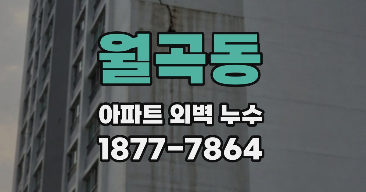 월곡동 아파트 외벽 누수
