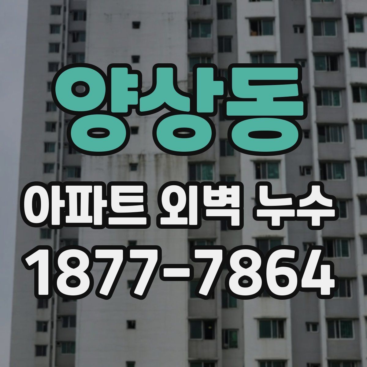 양상동 아파트 외벽 누수 발생 위치별 원인 살펴보기