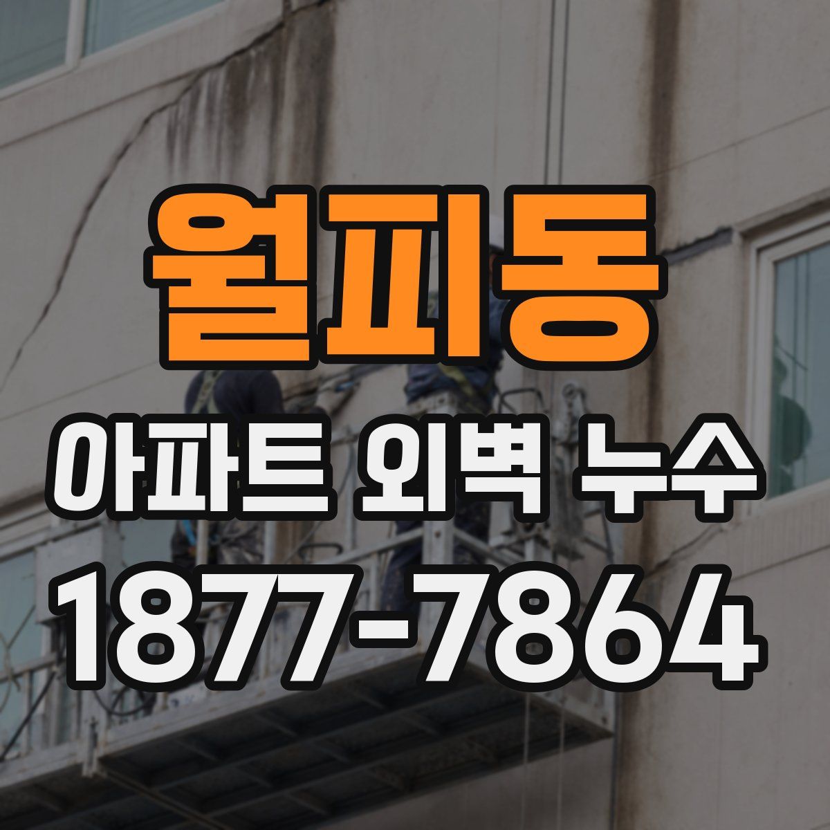 월피동 아파트 외벽 누수