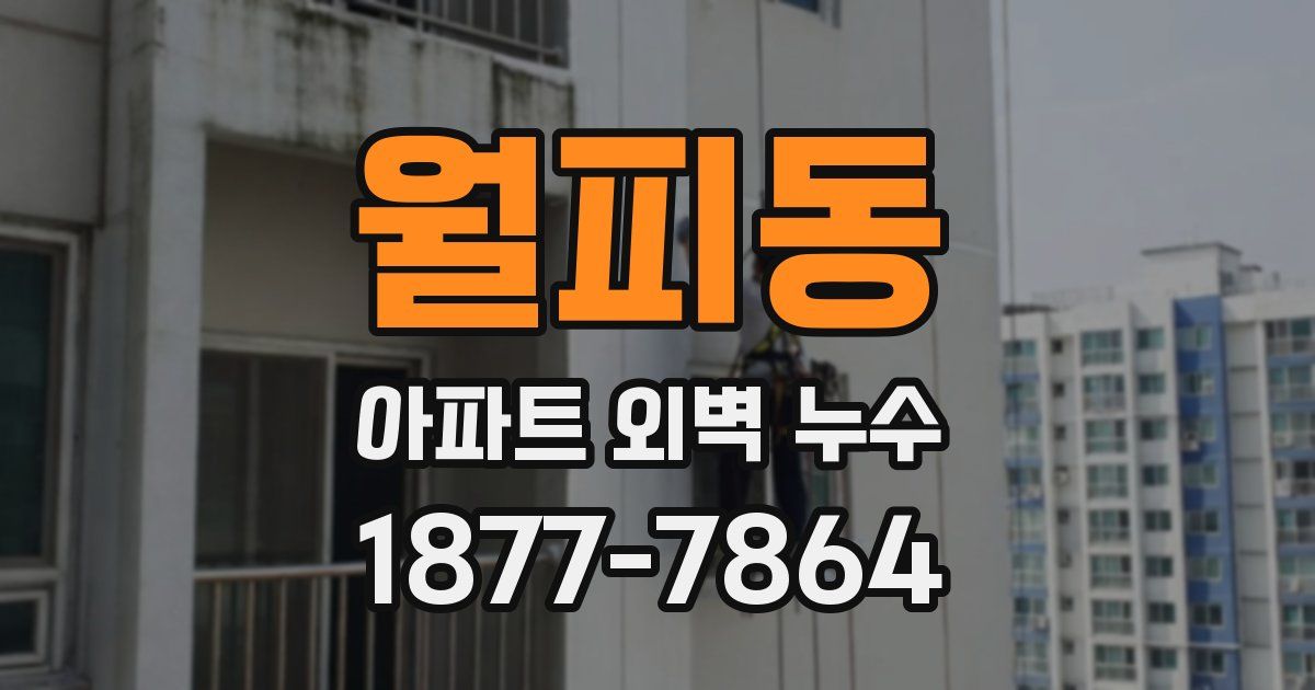 월피동 아파트 외벽 누수