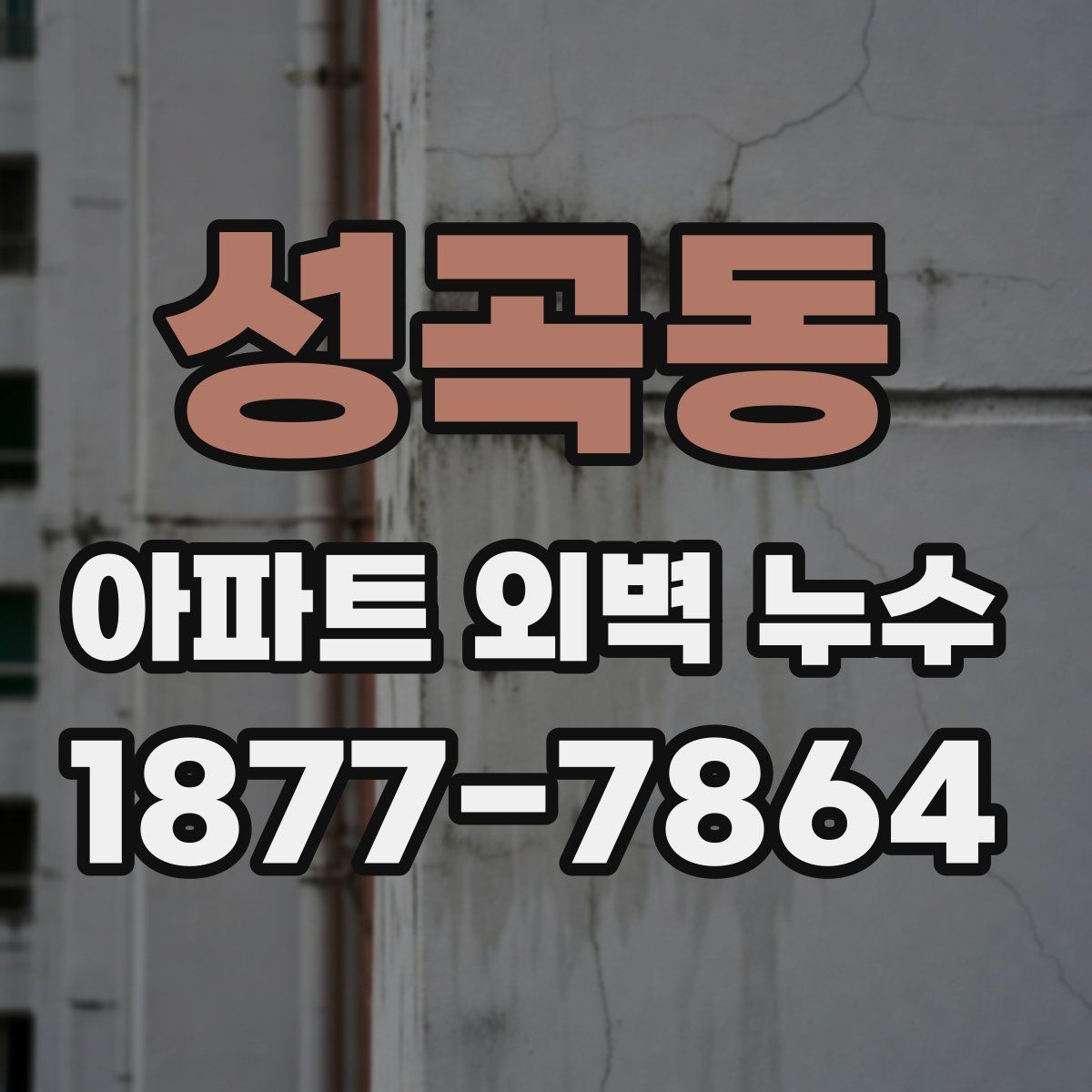 성곡동 아파트 외벽 누수