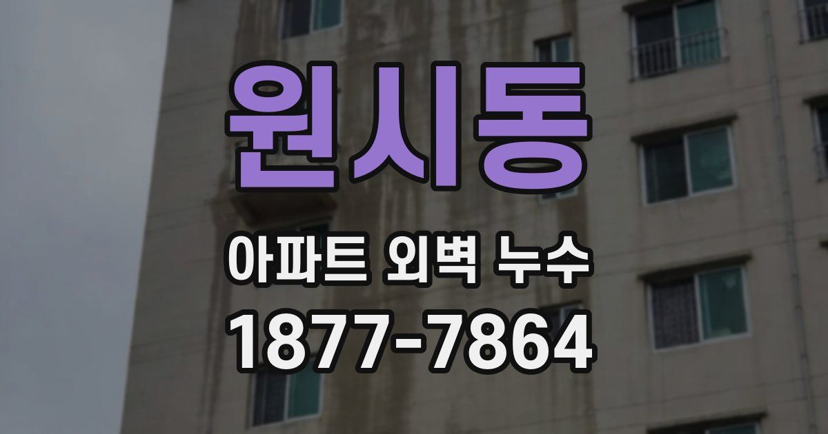 원시동 아파트 외벽 누수